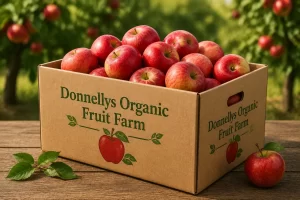 2-Kilos packed apples